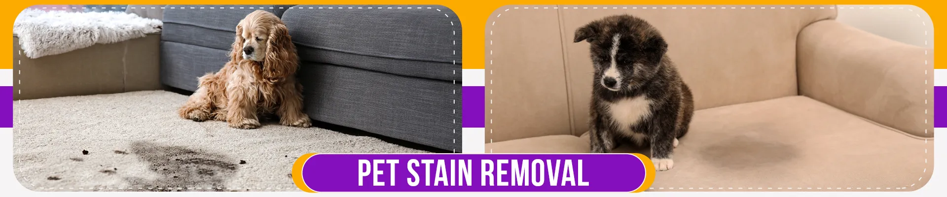 carpet cleaners in Bronx, carpet cleaning in Bronx, carpet cleaning bronx, carpet cleaners in bronx,  commercial carpet cleaning, commercial carpet cleaning in bronx,carpet cleaning in bronx,  bronx rug cleaners, rug cleaning services in bronx, same day carpet cleaning, same day rug cleaning